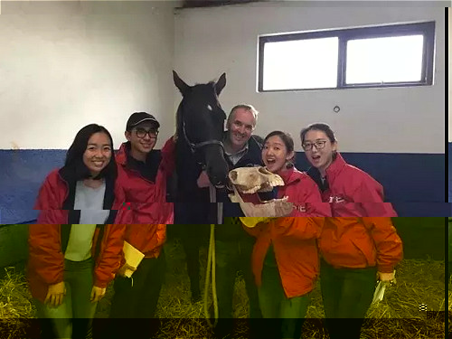 1494906022264054638.jpg 2.webp_meitu_2.jpg