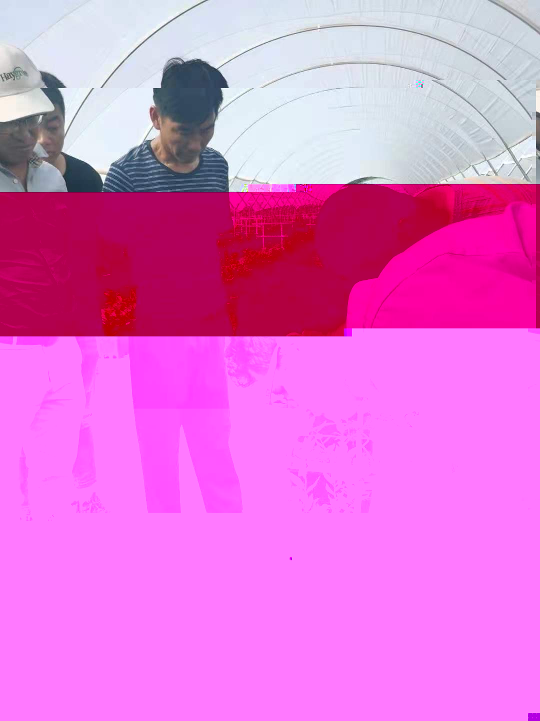 1637053168060068885.jpg 1637053168060068885.jpg